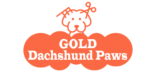 Gold Dachshund Paws